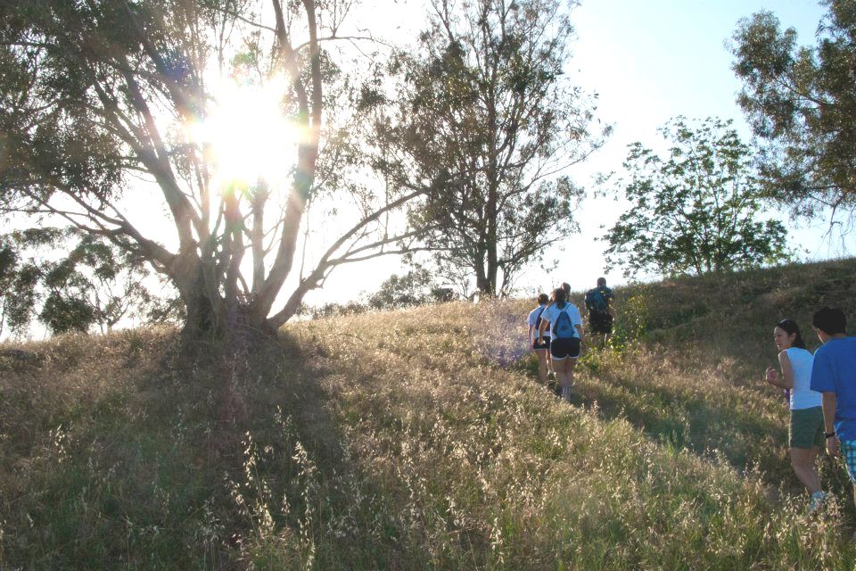 springsem_13-1