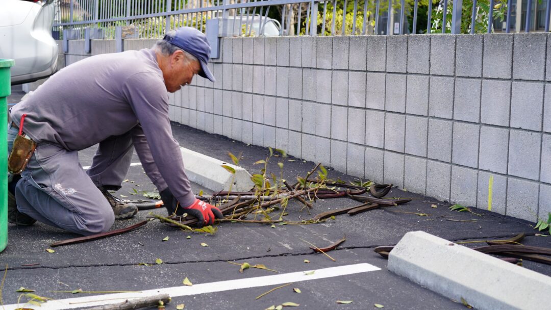 Osoji Temple Cleanup