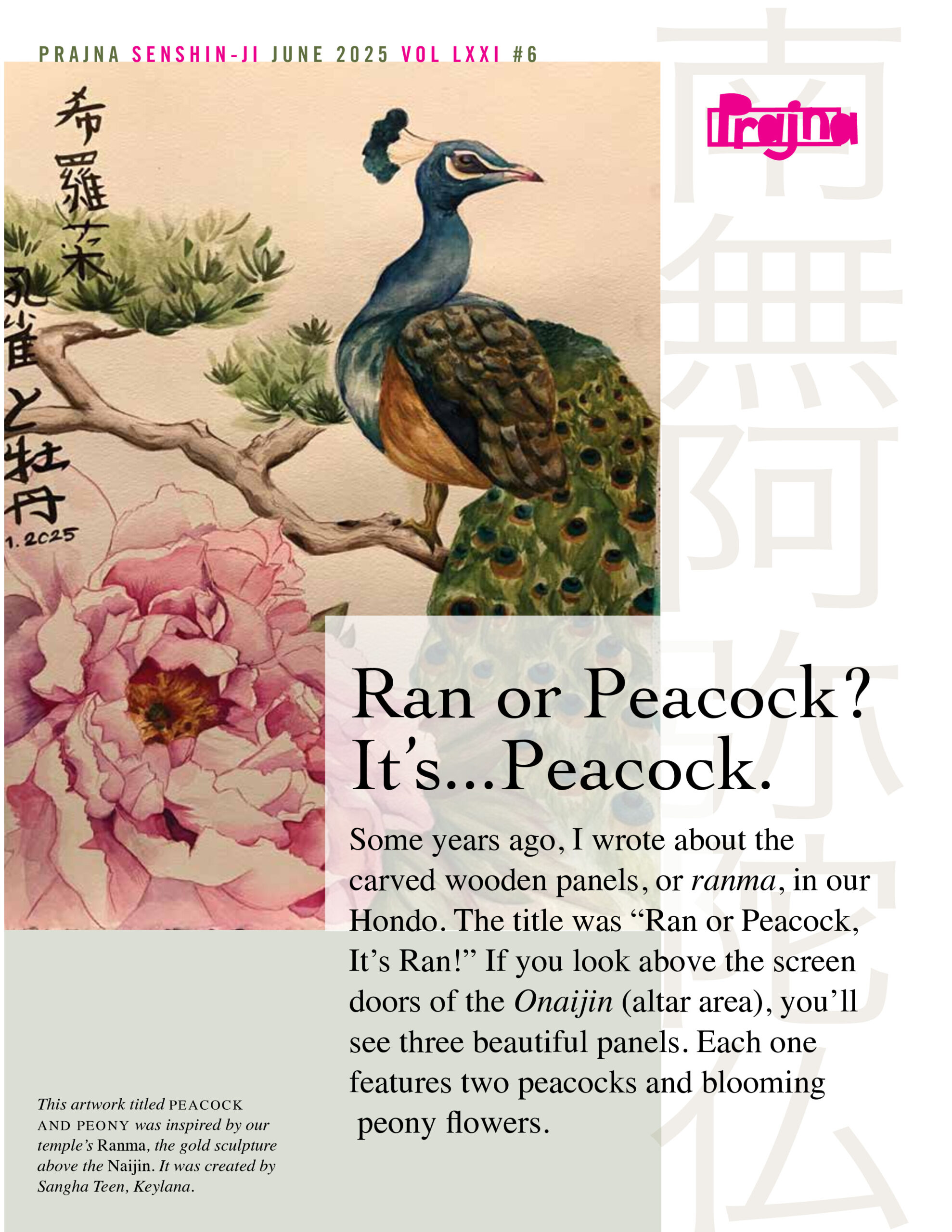 Front cover of the June 2025 Newsletter